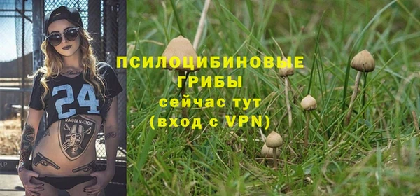 герыч Новозыбков