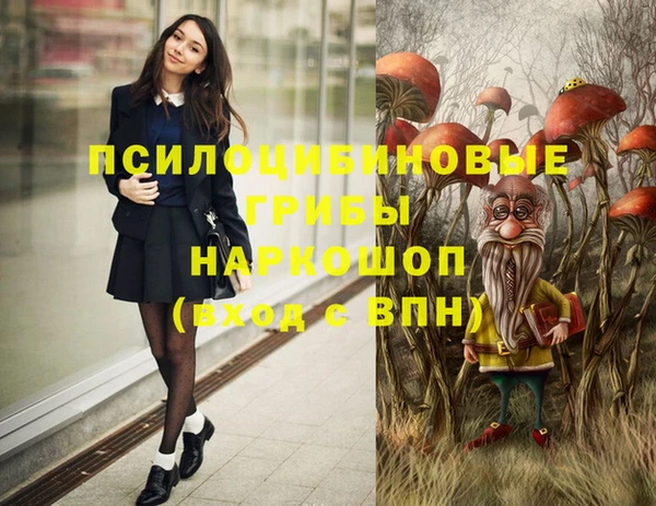 таблы Новокубанск