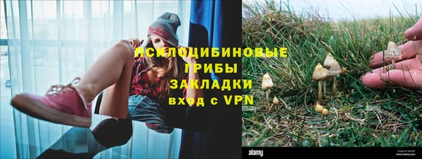 дурь Нея
