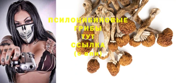 дурь Нея