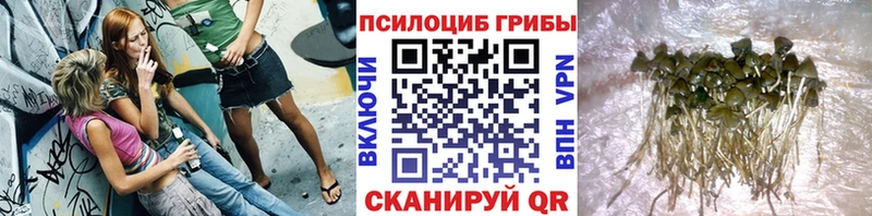 hydra ссылки  нарко площадка официальный сайт  Псилоцибиновые грибы Psilocybe  Красный Кут 