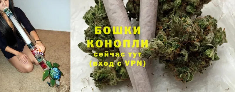 Бошки Шишки LSD WEED  площадка состав  Красный Кут 